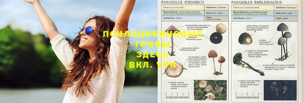 мет Майский